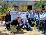 Tree Plantation